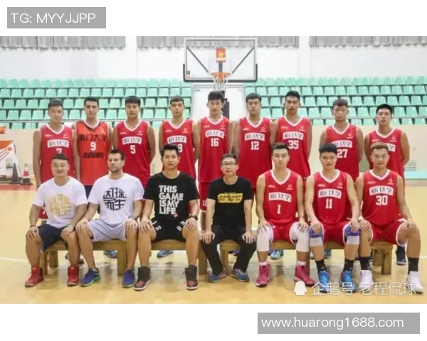 南京排球队杯赛表现分析：意识与团队协作的深度探讨