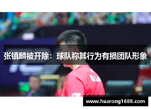 张镇麟被开除：球队称其行为有损团队形象